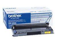 Brother DR2005 - Original - kit tambour - pour Brother HL-2035, HL-2037 DR2005