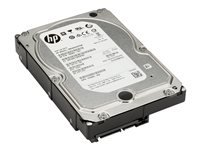 HP - Disque dur - 4 To - interne - 3.5" - SATA 6Gb/s - 7200 tours/min - mémoire tampon : 128 Mo - pour Workstation Z2 G4, Z2 G5, Z2 G8, Z2 G9, Z4 G4, Z4 G5, Z6 G4, Z8 G4, Z8 G5; ZCentral 4R K4T76AA