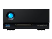 LaCie 1big Dock STHS16000800 - Baie de disques - 16 To - 1 Baies (SATA-600) - HDD 16 To x 1 - USB 3.1, Thunderbolt 3 (externe) - avec Plan de service de récupération des données d'une durée de 5 ans STHS16000800