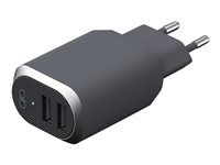 BigBen Connected Force Power - Adaptateur secteur - 4.8 A - 2 connecteurs de sortie (USB) FPCS4.8A2USBAG