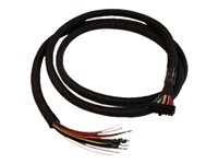 Cradlepoint - Câble GPIO - Molex double rangée de 20 broches pour fil dénudé - 1.98 m - pour COR IBR1700-1200M, IBR1700-1200M-B, IBR1700-600M 170712-000