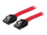 StarTech.com Câble SATA avec verrouillage de 61 cm (LSATA24) - Câble SATA - Serial ATA 150/300/600 - SATA (R) pour SATA (R) - 61 cm - verrouillé - rouge - pour P/N: 10P6G-PCIE-SATA-CARD, 2P6G-PCIE-SATA-CARD, 6P6G-PCIE-SATA-CARD, BRACKET125PTP LSATA24