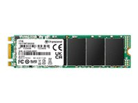 Transcend MTS825S - SSD - 250 Go - interne - M.2 2280 - SATA 6Gb/s TS250GMTS825S