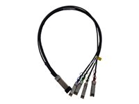 HPE Copper Cable - Câble d'attache directe 100GBase - QSFP28 pour QSFP28 - 1 m - SFF-8665 - pour HPE SN2410, SN3700, SN3700cM 100, SN3800M 100, SN4600, SN4600cM 100; M-Series SN3800 Q9S72A